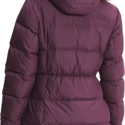 The North Face New Dealio Down Parka - Womens 2022 -Obermeyer Sales 4722067NF0A5GDT NXE back