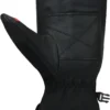 Auclair Verbier Valley Ski Mitt - Mens