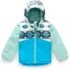 The North Face Snowquest Insulated Ski Jacket - Toddler 2020