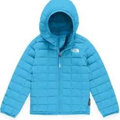 The North Face ThermoBall Hoodie - Toddler 2020 -Obermeyer Sales max 7413977 NF0A3Y6A turqblue